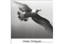 Memory Exercises. A Sad Historical Paranthesis. 2nd edition.