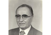 Dr.ing. Nicolae Budișan
