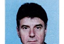 Prof.univ.em.dr.ing.Constantin Pavel