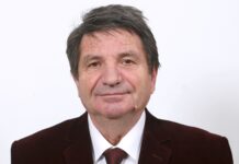 Prof.univ.dr.ing. Gheorghe Manolea – Vicepreședinte