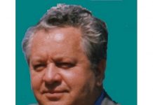 Prof.univ.dr.ing. Vasile Nastasescu – Vicepreședinte