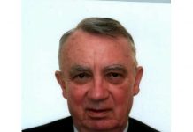 Prof.univ.dr.ing. Mircea Stelian Petrescu