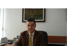 Dr.ing. Ion Vasilică Șereș