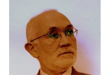 Prof.univ.dr.ing. Virgil Tiponuț