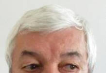 Prof. univ. dr. ing. Horia CIOCÂRLIE