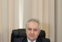 Prof.univ.dr.ing. Liviu Marșavina